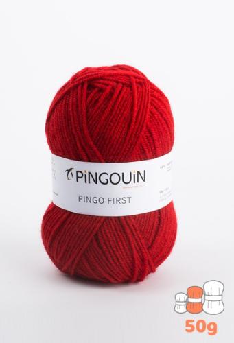 Pingo First